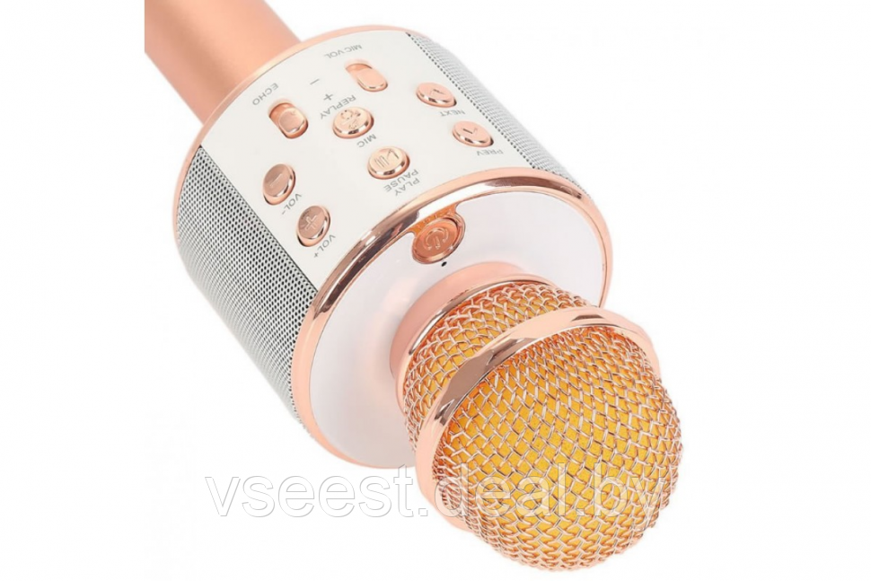 Фэйк Портативная микрофон и колонка 2 в одном WSTER WS858 (Bluetooth) Rose Gold - фото 3 - id-p94175825