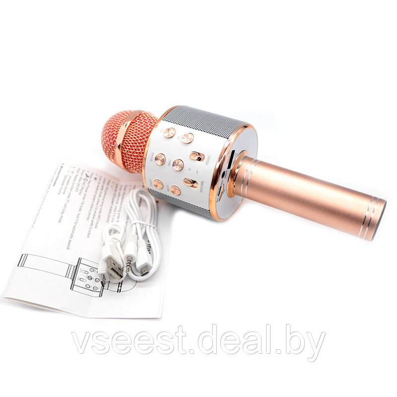 Фэйк Портативная микрофон и колонка 2 в одном WSTER WS858 (Bluetooth) Rose Gold - фото 4 - id-p94175825