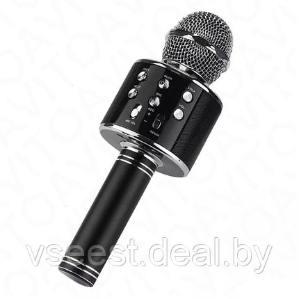 ORIG Портативная микрофон и колонка 2 в одном WSTER WS858 (Bluetooth) Чёрная, фото 2