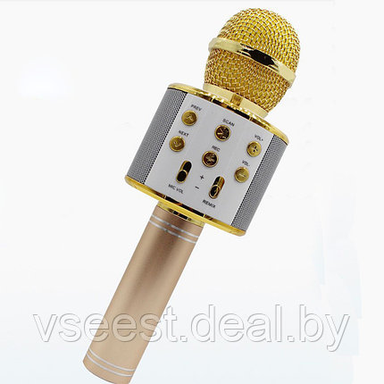 ORIG Портативная микрофон и колонка 2 в одном WSTER WS858 (Bluetooth) Gold, фото 2