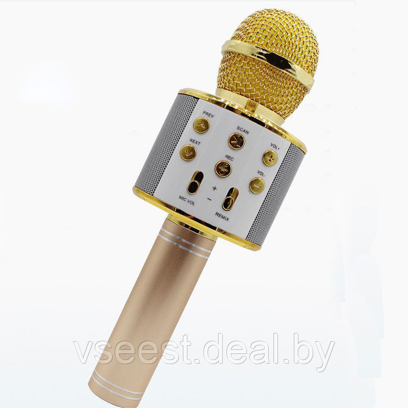ORIG Портативная микрофон и колонка 2 в одном WSTER WS858 (Bluetooth) Gold - фото 1 - id-p94175829
