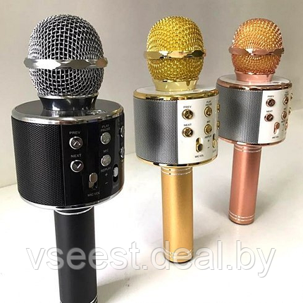 ORIG Портативная микрофон и колонка 2 в одном WSTER WS858 (Bluetooth) Gold, фото 2
