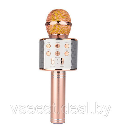 ORIG Портативная микрофон и колонка 2 в одном WSTER WS858 (Bluetooth) Rose Gold, фото 2