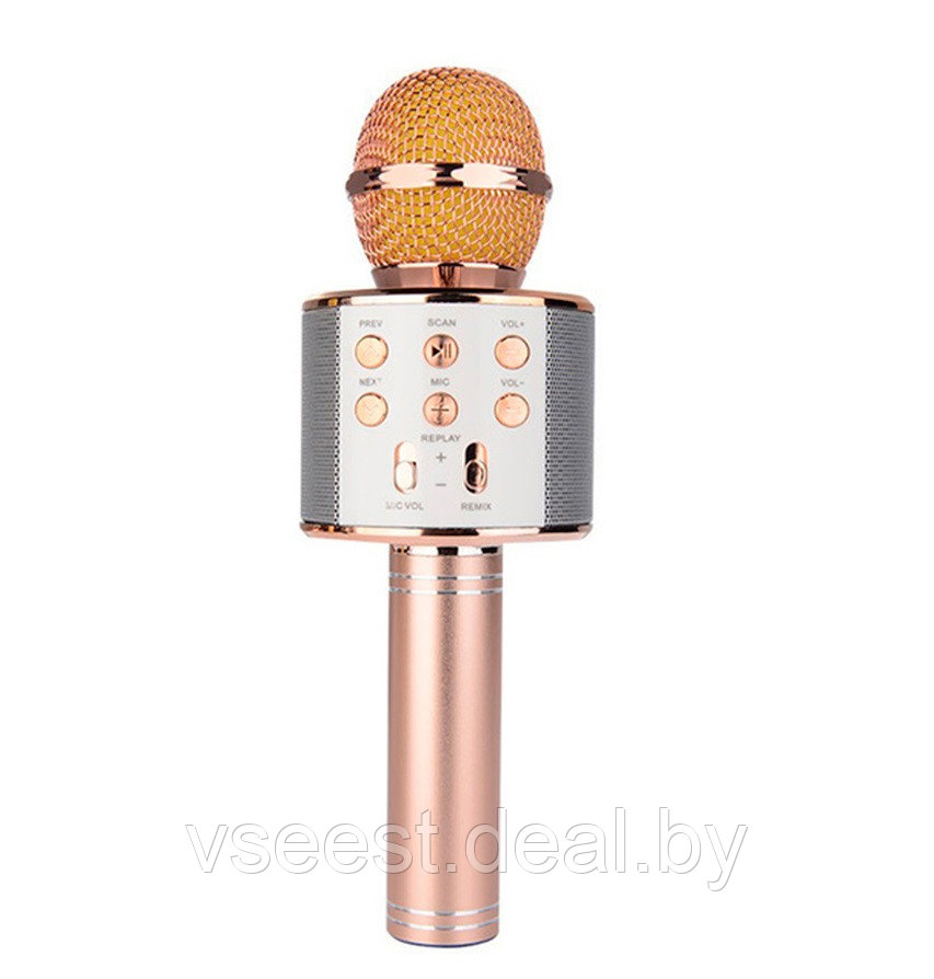 ORIG Портативная микрофон и колонка 2 в одном WSTER WS858 (Bluetooth) Rose Gold - фото 1 - id-p94175830