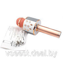 ORIG Портативная микрофон и колонка 2 в одном WSTER WS858 (Bluetooth) Rose Gold, фото 2