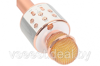 ORIG Портативная микрофон и колонка 2 в одном WSTER WS858 (Bluetooth) Rose Gold, фото 3