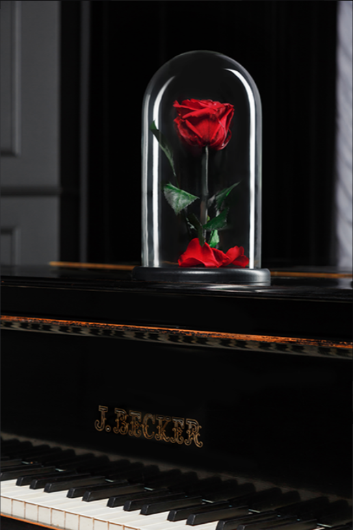 Вечная роза в колбе Mini - фото 2 - id-p94183648