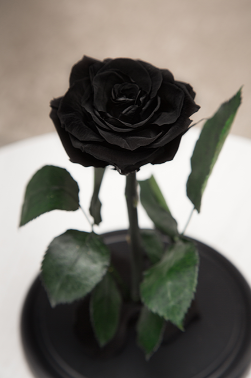 Вечная роза в колбе Mini - фото 5 - id-p94183648