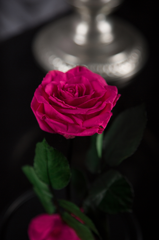 Вечная роза в колбе Mini - фото 6 - id-p94183648