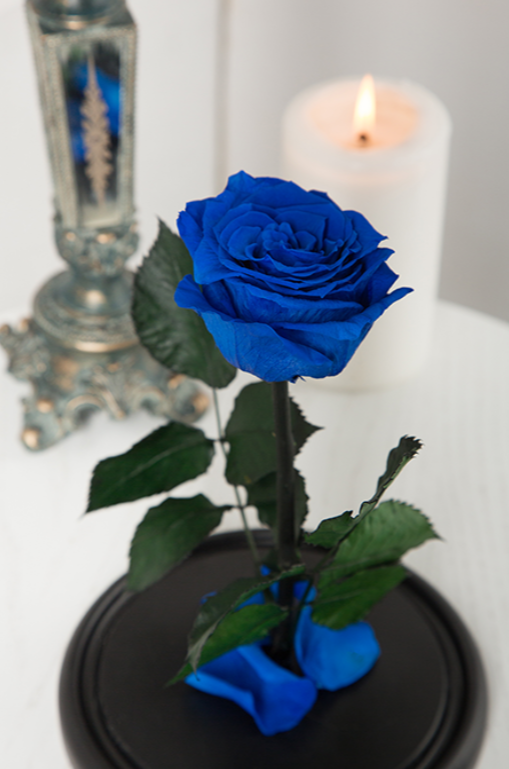 Вечная роза в колбе Mini - фото 7 - id-p94183648