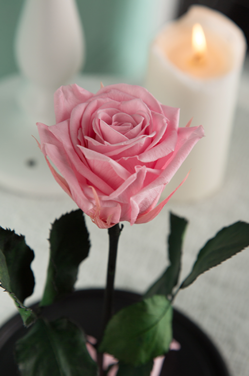 Вечная роза в колбе Mini - фото 9 - id-p94183648