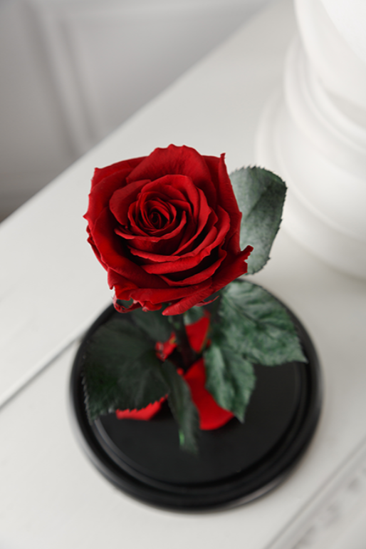 Вечная роза в колбе King Size - фото 9 - id-p94183672