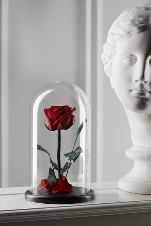 Вечная роза в колбе Premium - фото 1 - id-p94183674