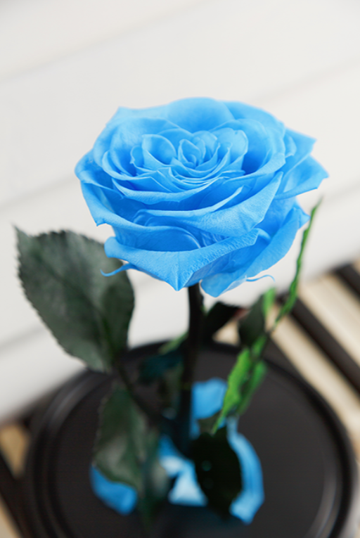 Вечная роза в колбе Premium - фото 8 - id-p94183674