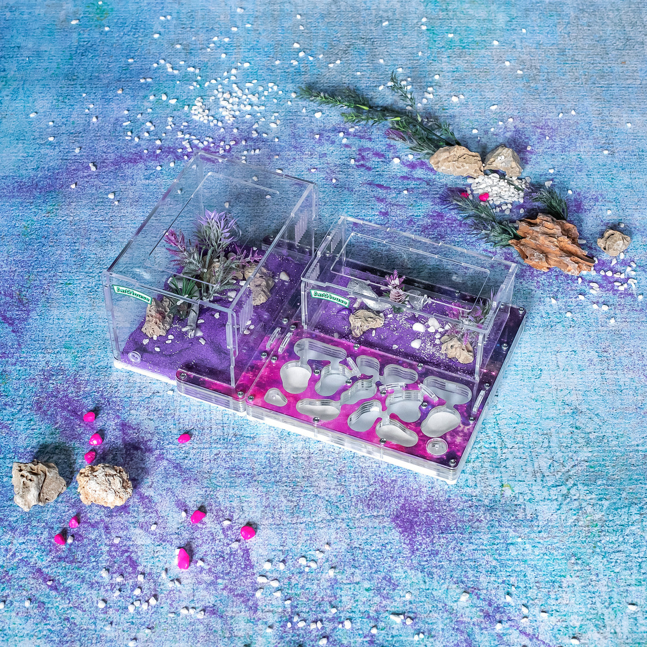 Формикарий AntHouse "BIO PLUS X" galaxy