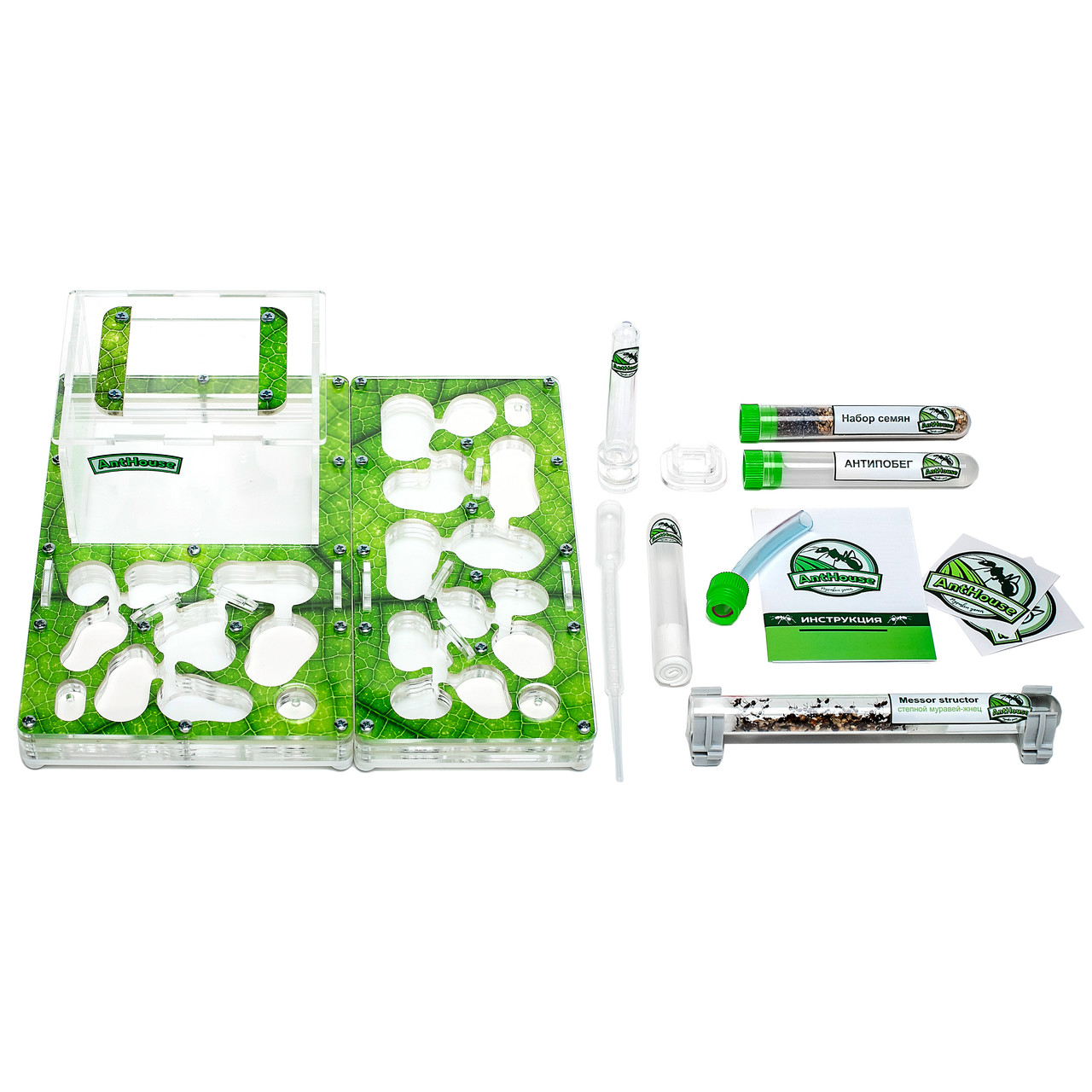 Стартовый комплект AntHouse "BIO L" green