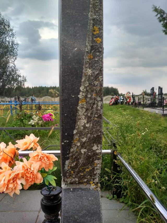 Мох на камне Полировка или нет
