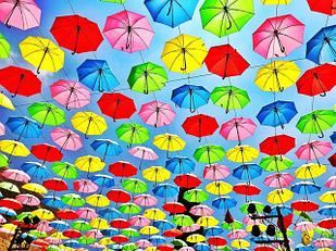 Зонты и дождевики.