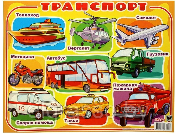 Плакат для детей "Транспорт", А2, Оля и Женя - фото 1 - id-p94850832