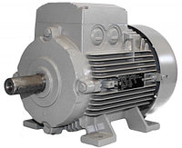 Электродвигатель 1LG4310-2AB66-Z фланец