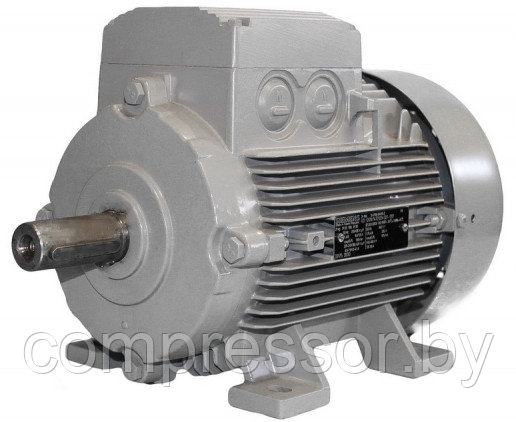 Электродвигатель  1LG4310-2AB66-Z фланец, фото 2