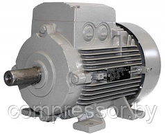 Электродвигатель  1LG4317-2AB66-Z  фланец