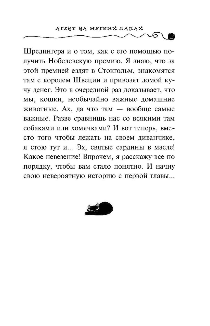 Агент на мягких лапах. Приключения кота-детектива. Книга 1 - фото 9 - id-p95121785