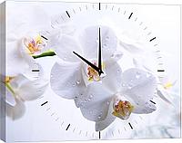 Картины-часы любой размер, любое изоражение "Орхидеи" от 20*30см