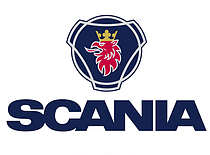 Коврики в салон и багажник Scania