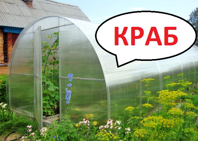 Теплица из поликарбоната, Краб 40К-0.67. Длина 4/6/8/10 метров