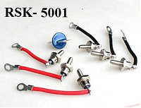 Комплект диодов и варистор RSK-5001