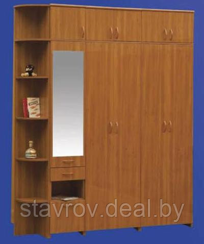 Хозяйственный шкаф в коридор - фото 5 - id-p4785011
