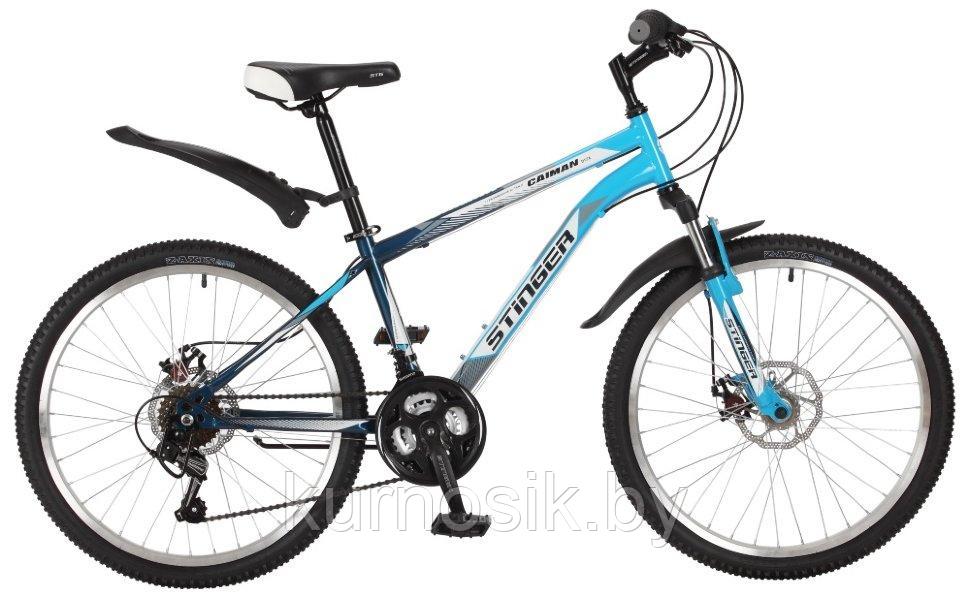 Подростковый велосипед Stinger 24" Caiman (24SHD.CAIMD) - фото 2 - id-p95982272