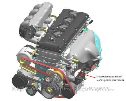 Двигатель ЗМЗ 40524.1000400-01 для а/м "ГАЗель/Соболь", Евро-3, инжектор, 150 л.с., АИ-92, 1 комплектность - фото 1 - id-p4802959