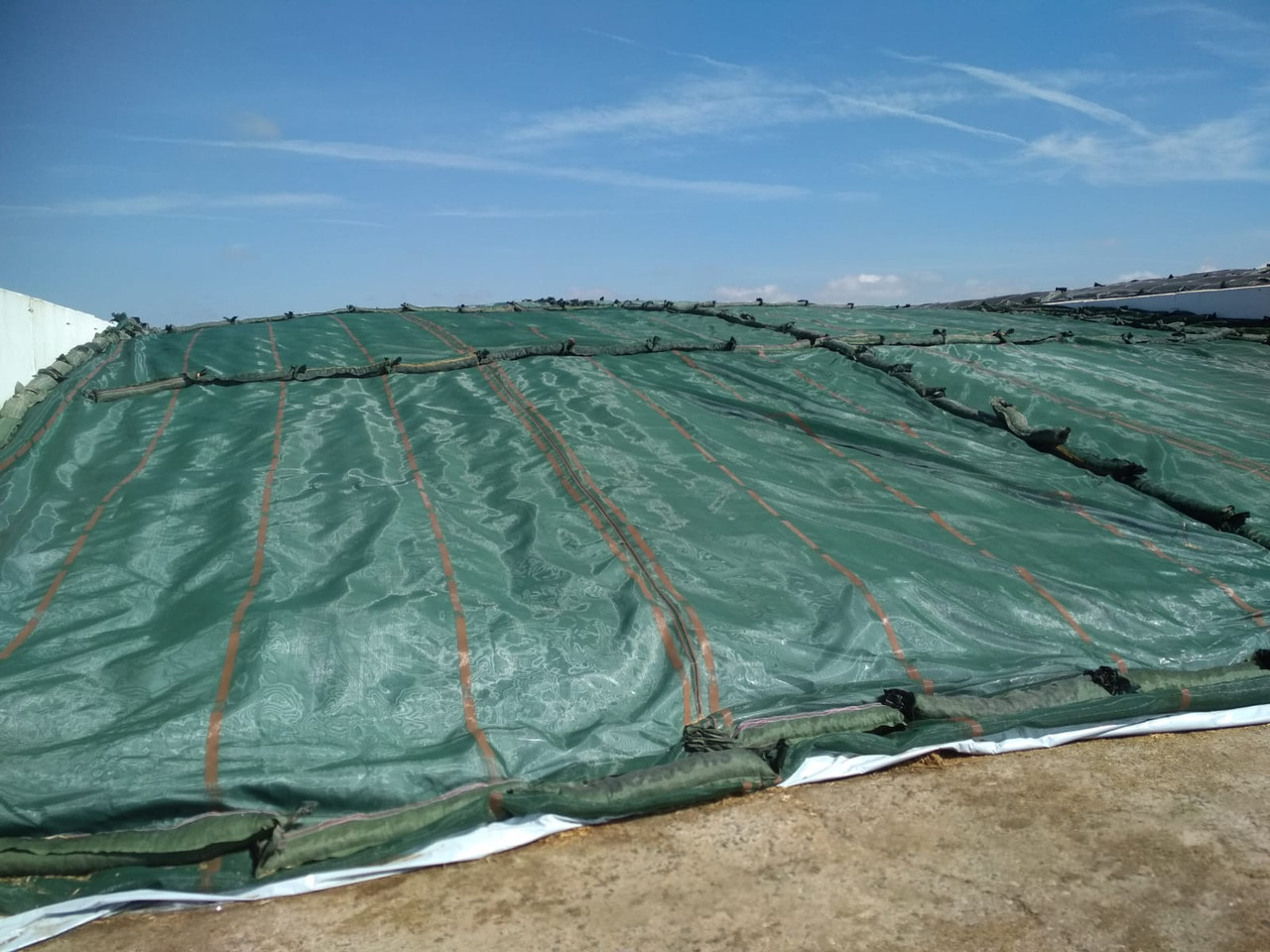 Сетка защитная от птиц и грызунов