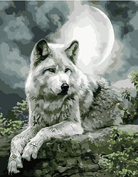 Картина по номерам Полярный волк | 40х50 | сложность 3 | цветов 24