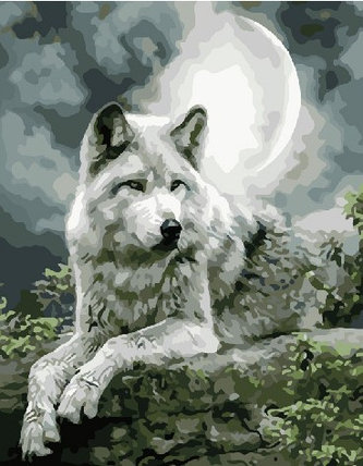 Картина по номерам Полярный волк | 40х50 | сложность 3 | цветов 24, фото 2