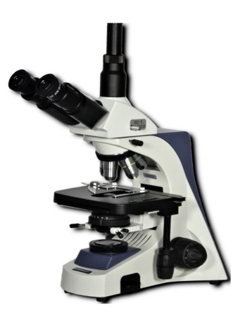 Микроскоп Биомед 6 вар.3 ЛЮМ (-трино) - фото 1 - id-p95713573