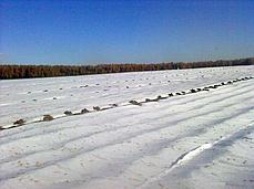Спанбонд 25 белый ширина 3,2х300 м.п., рулон 960 м2 (СУФ), фото 3