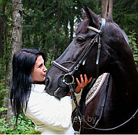 Романтический подарок - Фотосессия с лошадьми