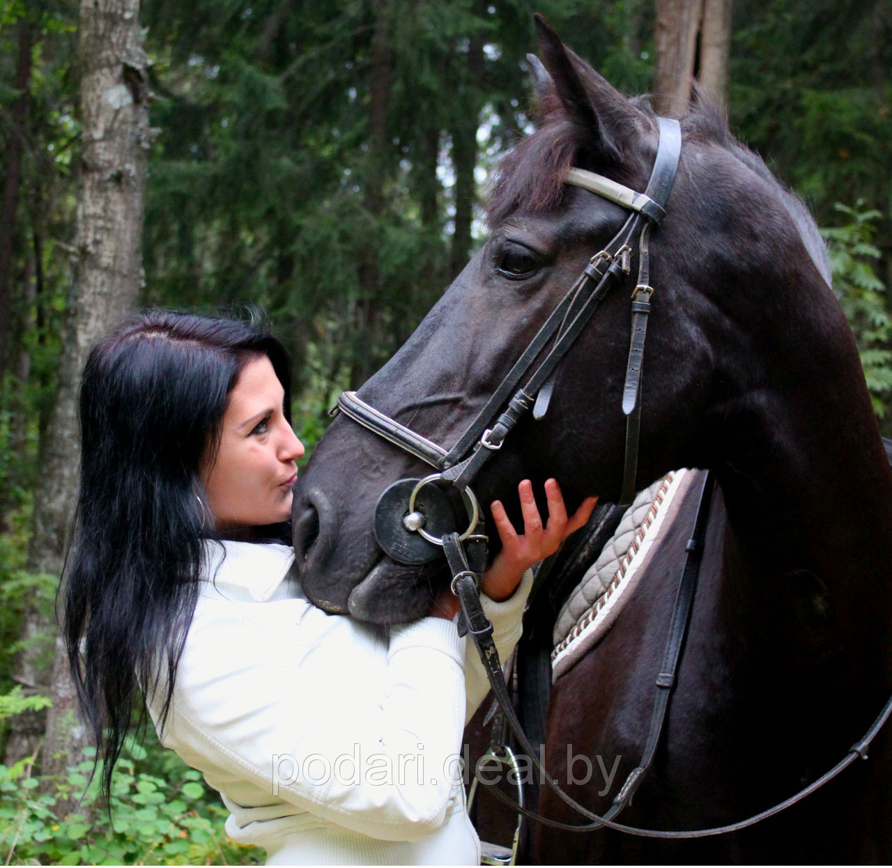 Романтический подарок - Фотосессия с лошадьми - фото 1 - id-p3720389