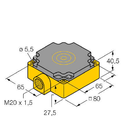 10085 | NI40-CP80-Y1, фото 2