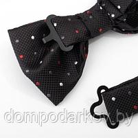 Набор детский: галстук-бабочка 10х5, платок 18х18, п/э, черный, фото 5
