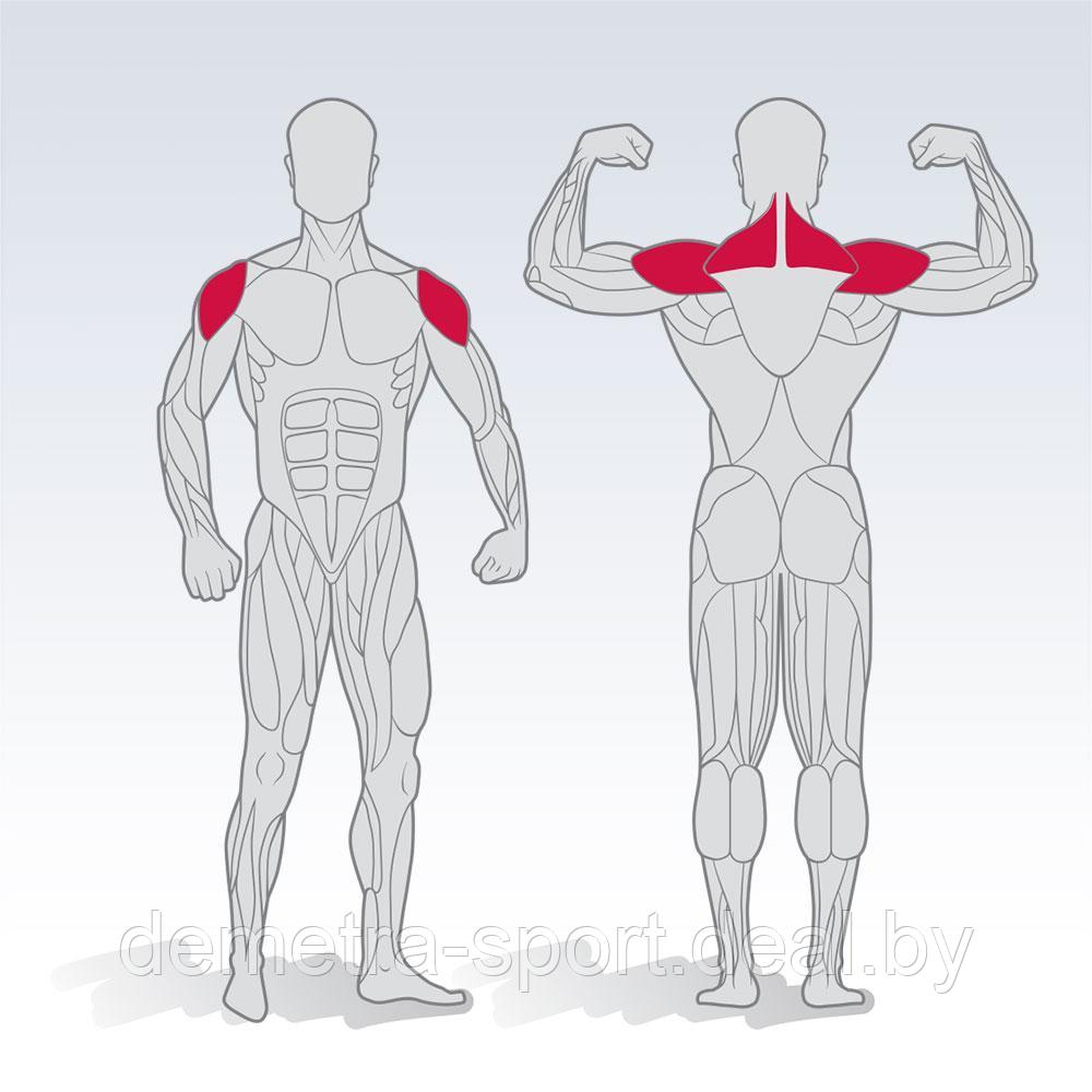 Тренажер для тренировки плечевого сустава и мышц плечевого пояса - фото 3 - id-p96503972