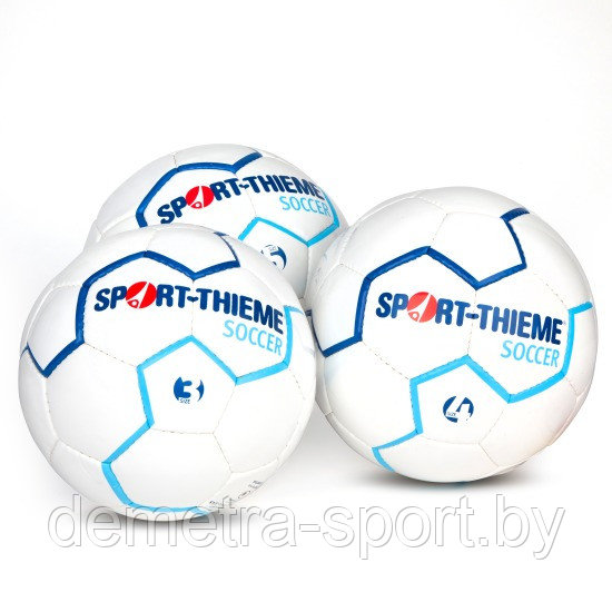 Мяч футбольный Sport-Thieme