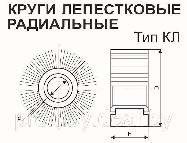 Круг лепестковый КК19XW 10H (P150) 150 х 30 х 32 мм (Белгород, БАЗ) - фото 6 - id-p96569372