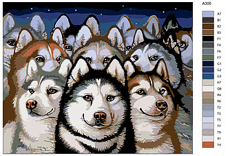 Картина по номерам, 40 x 50, A306