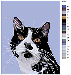 Картина по номерам, 40 x 50, A310