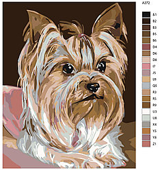 Картина по номерам, 40 x 50, A372