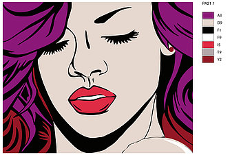 Картина по номерам, 40 x 50, PA21